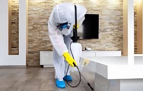 Effective Pest Control: Solutions for a Pest-Free Life