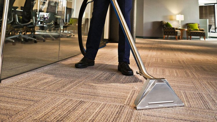 Carpet Cleaning Halifax: Professional & Affordable Carpet Care