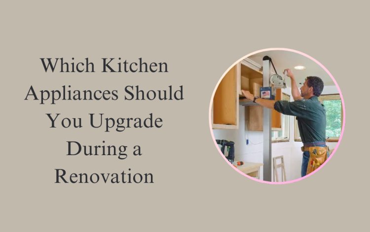 Which Kitchen Appliances Should You Upgrade During a Renovation