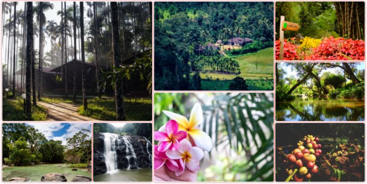 Luxury Family Hotels in Coorg