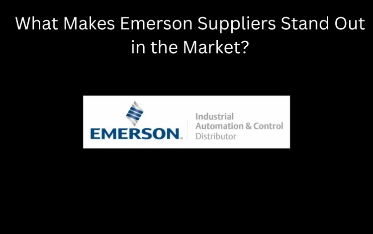 What Makes Emerson Suppliers Stand Out in the Market?